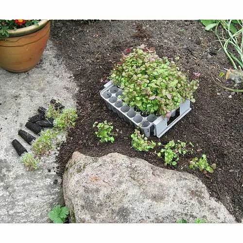 Compact Plant Trainer