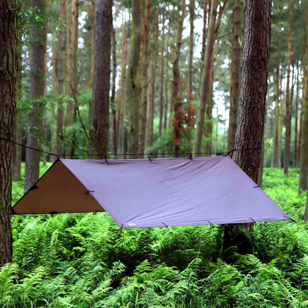 DD Hammocks Tarp 3x3