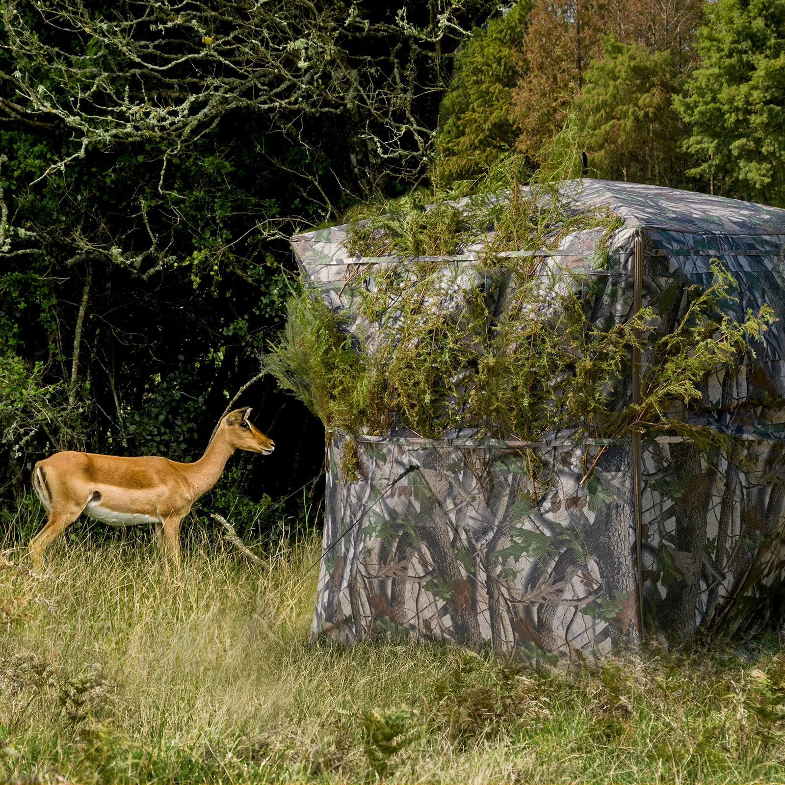 EROMMY Pop Up Hunting Blind for Deer & Turkey Hunting